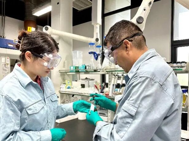 中国石化石科院生物基功能共聚酰胺弹性体入围全国创新创业大赛决赛，引领防腐材料革新