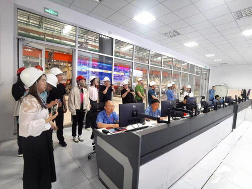 新技术赋能新产业，百亿级绿色建材高地崛起——德州市德城区防腐材料销售引领产业升级