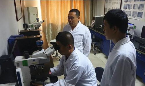 西王集团以科技创新驱动发展，五项核心科技成果通过专家鉴定，助力防腐材料销售新突破