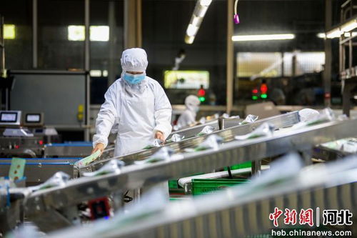 河北宽城 以科技创新为引擎 厚植新质生产力发展根基